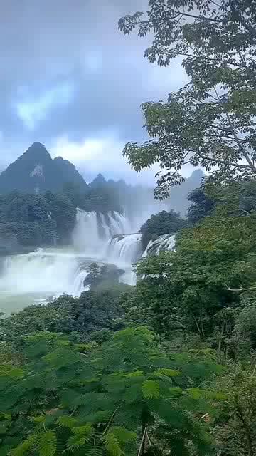 逃离整洁的杂物间